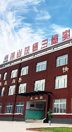 山西浮山伟德国际1946源于英国实验学校